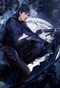傲梅雪中殇