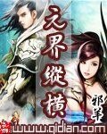《元界纵横》