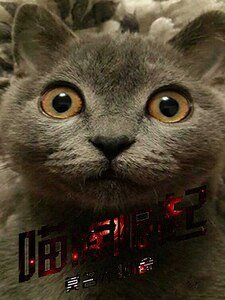 《喵族崛起》
