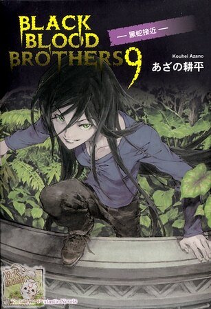 《BLACK BLOOD BROTHERS 黑蛇接近(黑血兄弟之九)》