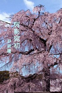 《树影宛初》
