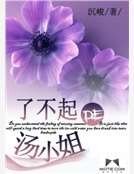 《了不起的汤小姐》