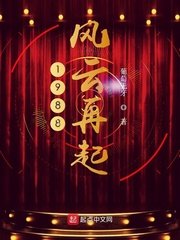 《1988风云再起》