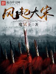 《风起大宋》