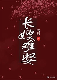 《长嫂难娶》