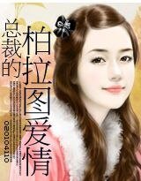 总裁的柏拉图爱情