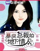 《暴戾总裁的地下情人》