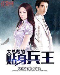 《女总裁的贴身兵王》