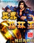 《异界指环王》