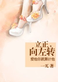 立正，向左转（军旅）