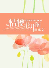 《桔梗花开时》