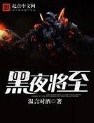 《黑夜将至》