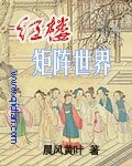 《红楼矩阵世界》