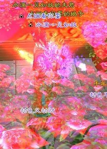 网游之水火交融