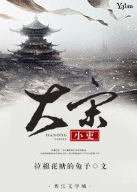 《(七五同人)大宋小吏》