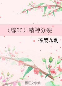 《(综DC同人)(综DC)精神分裂》