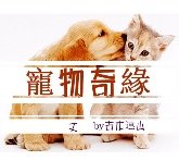 《宠物奇缘》