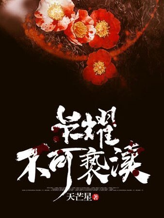 《荣耀不可亵渎》