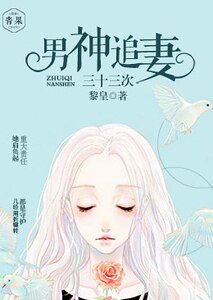 《男神追妻三十三次》