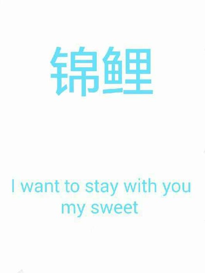 锦鲤