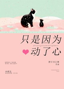 《只是因为侗了心》