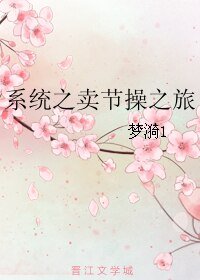 《系统之卖节操之旅》