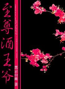 至尊酒王爷
