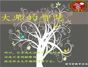 《大师的智慧》