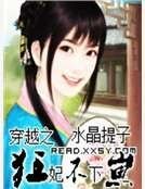 《穿越之狂妃不下崽》