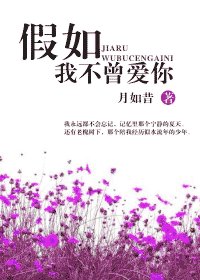 菲你不可/假如我不曾爱你（网络版）