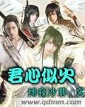 《君心似火》