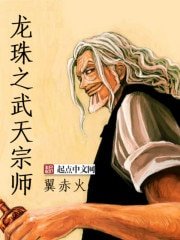 《(龙珠同人)龙珠之武天宗师》