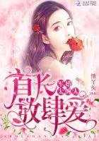 军婚太缠人：首长，放肆爱