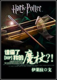 《(HP同人)谁偷了我的魔杖?!》