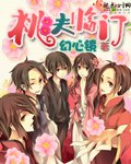 《桃夫临门》