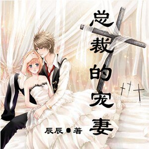 总裁的宠妻