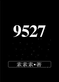 《9527》
