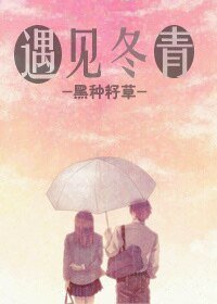 《遇见冬青》