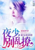 《霸宠甜甜圈:夜少,别乱撩》