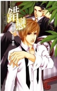 《错恋(出书版)》