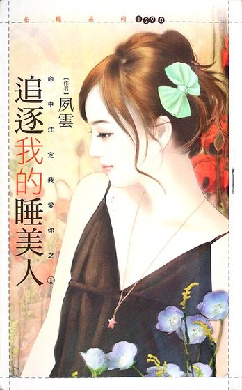 《追逐我的睡美人(命中注定我爱你之一)》
