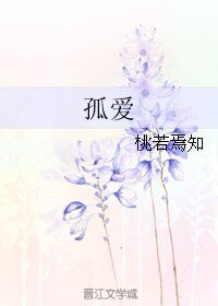 《孤爱》