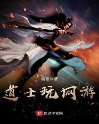 《道士玩网游》