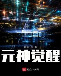 《元神觉醒》