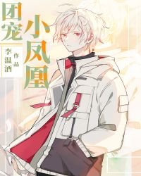 《团宠小凤凰》