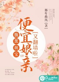 腹黑萌宝：便宜娘亲又翻墙啦
