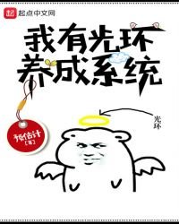 我有光环养成系统