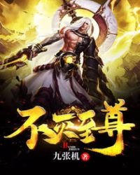 《不灭至尊》