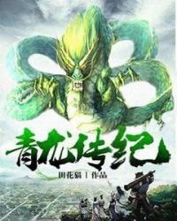 《青龙传纪》