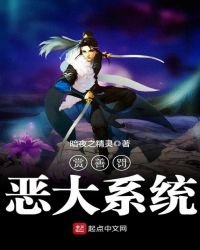 《赏善罚恶大系统》
